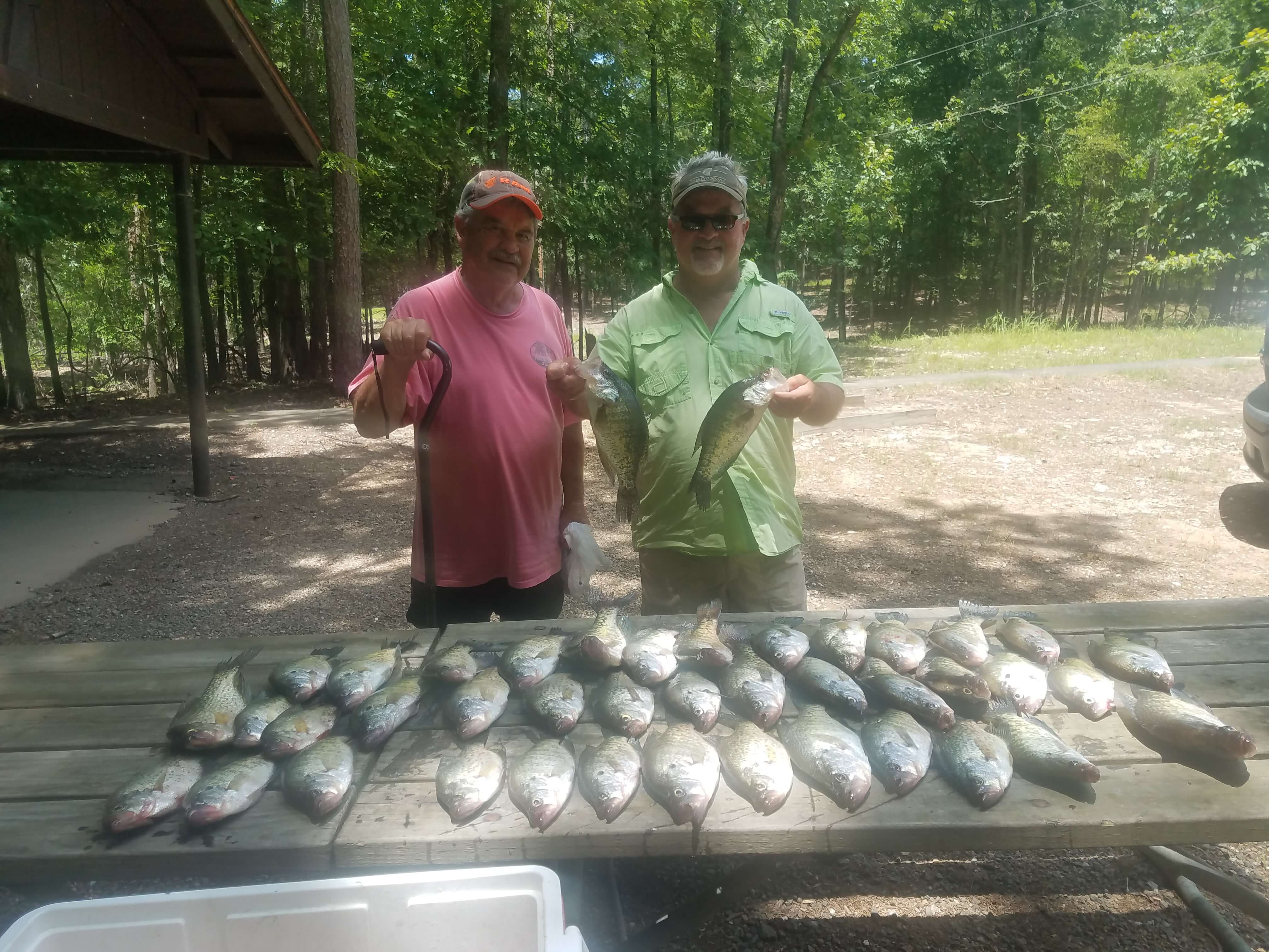 Fresh Catch