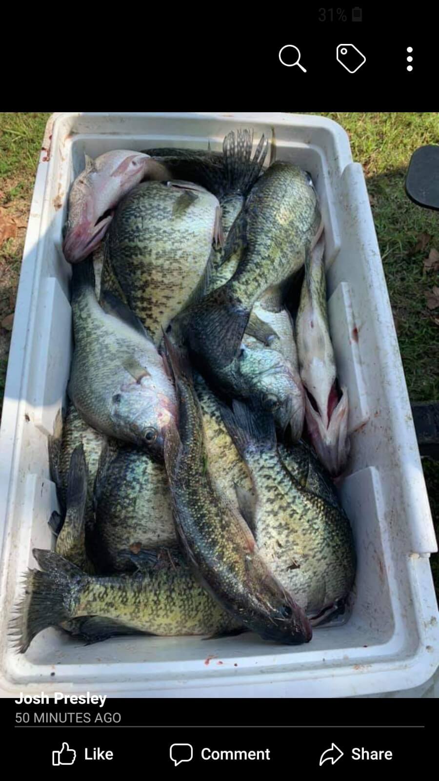 Fresh Catch