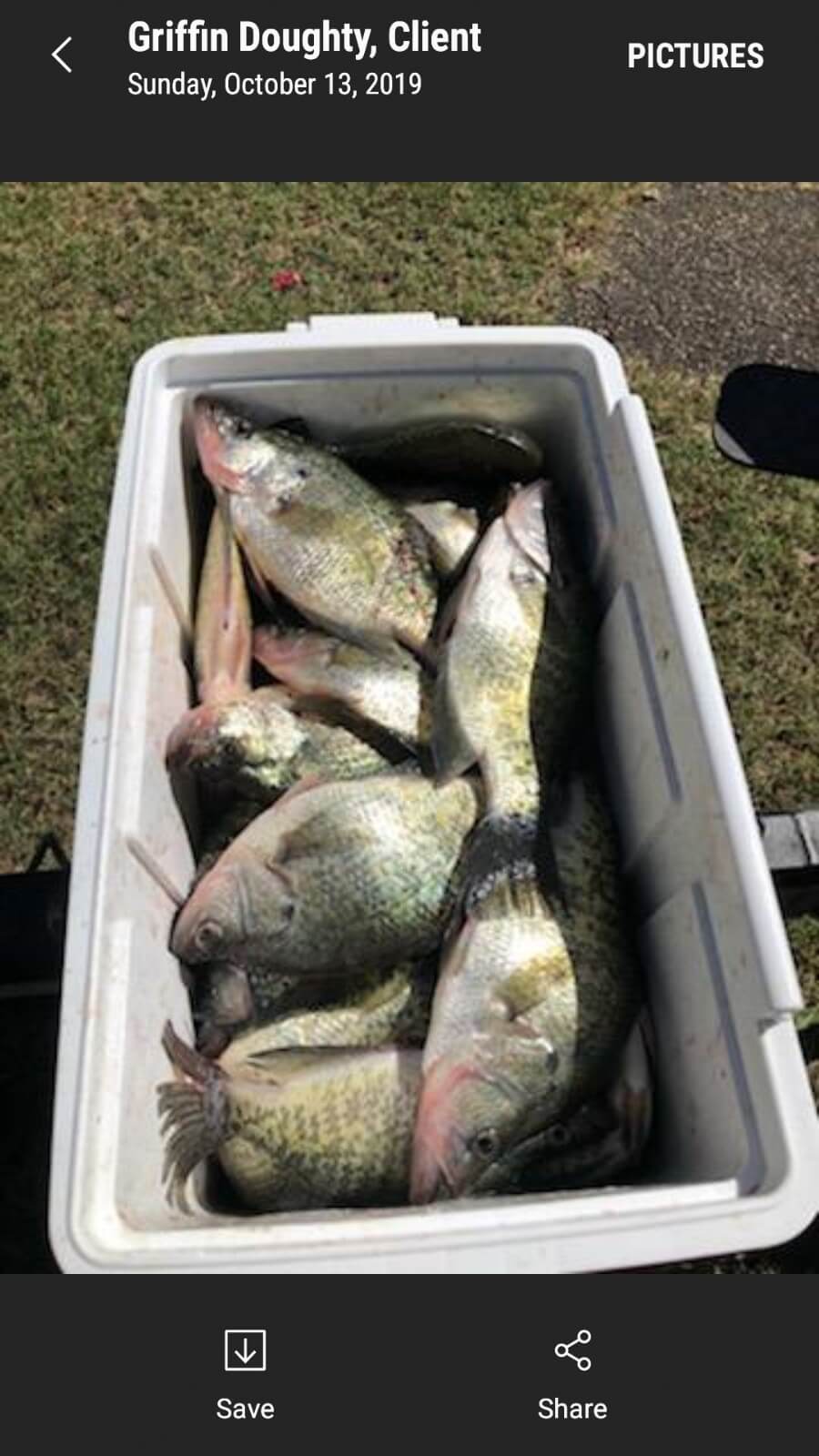 Fresh Catch